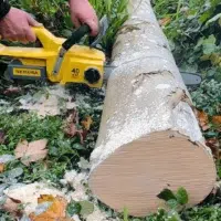 TRB440_AMB4 Image produit Chaîne de tronçonneuse 32 maillons - Pas 1/4" - Jauge 1,1mm mise en situation pour de la coupe de bois 2