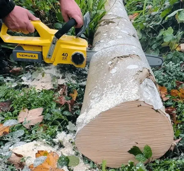 TRB440_AMB4 Image produit Chaîne de tronçonneuse 32 maillons - Pas 1/4" - Jauge 1,1mm mise en situation pour de la coupe de bois 2
