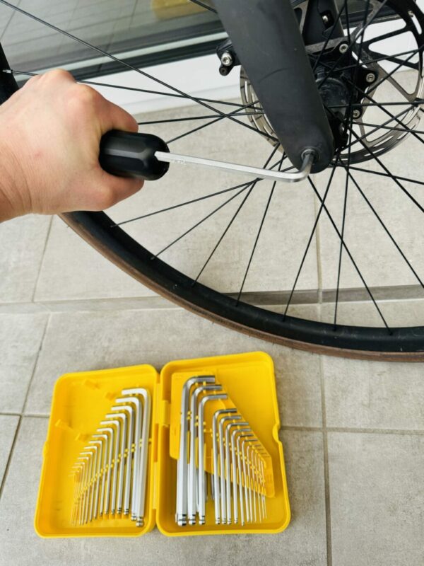 Coffret de 46 Clés Allen et Torx en Chrome Vanadium Qualité Professionnelle + Rallonge Universelle