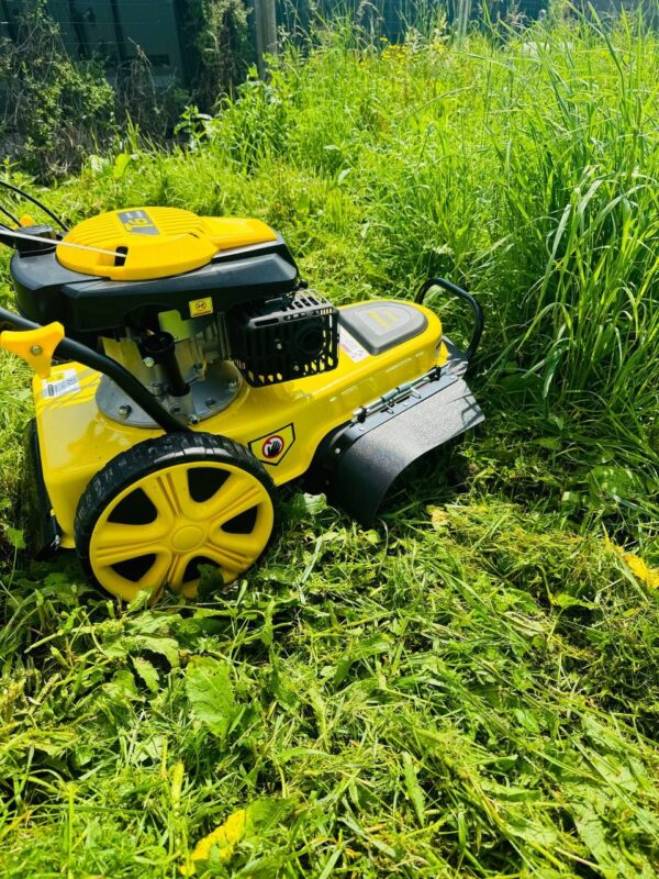 Tondeuse Débroussailleuse Sur Roues Autotractée 146cc - Largeur de travail de 56cm