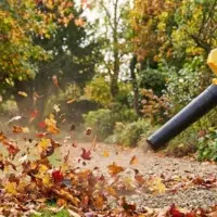 Souffleur De Feuilles 40V Nemura + Batterie 2Ah + Chargeur Rapide