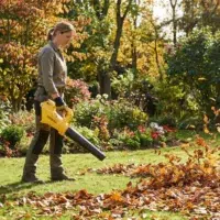 Souffleur De Feuilles 40V Nemura + Batterie 2Ah + Chargeur Rapide